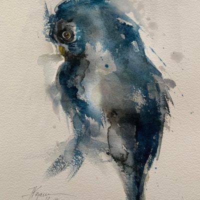 Owl, 2024