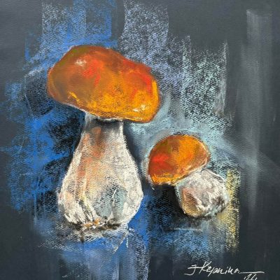 Mushrooms, 2024