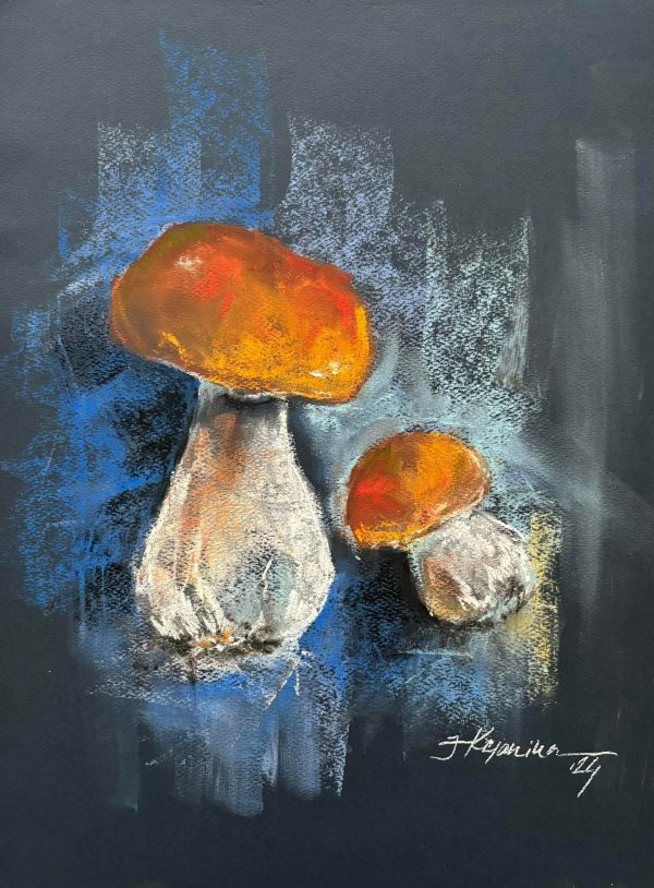 Mushrooms, 2024