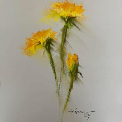 Dandelion Flowers, 2024