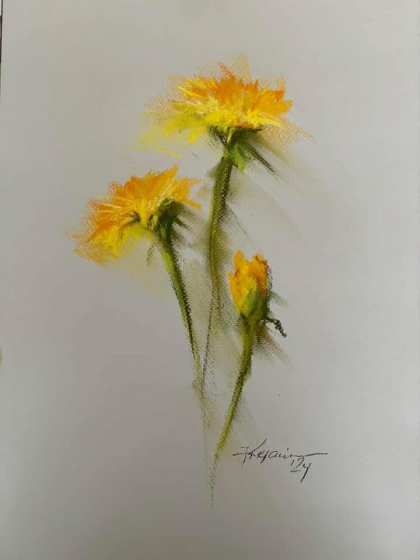 Dandelion Flowers, 2024