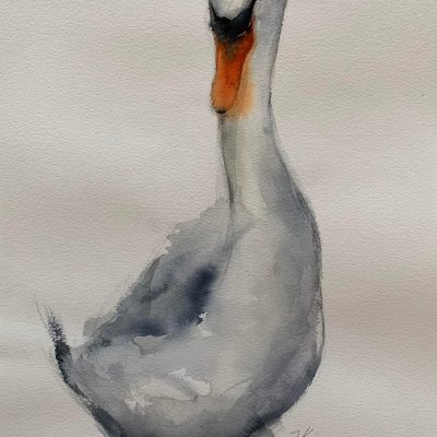 Goose, 2024