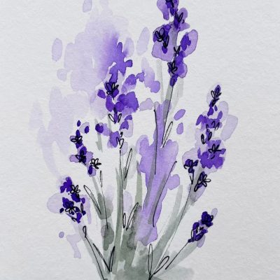 Lavender